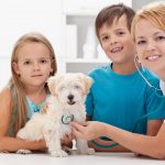 Numerous Services