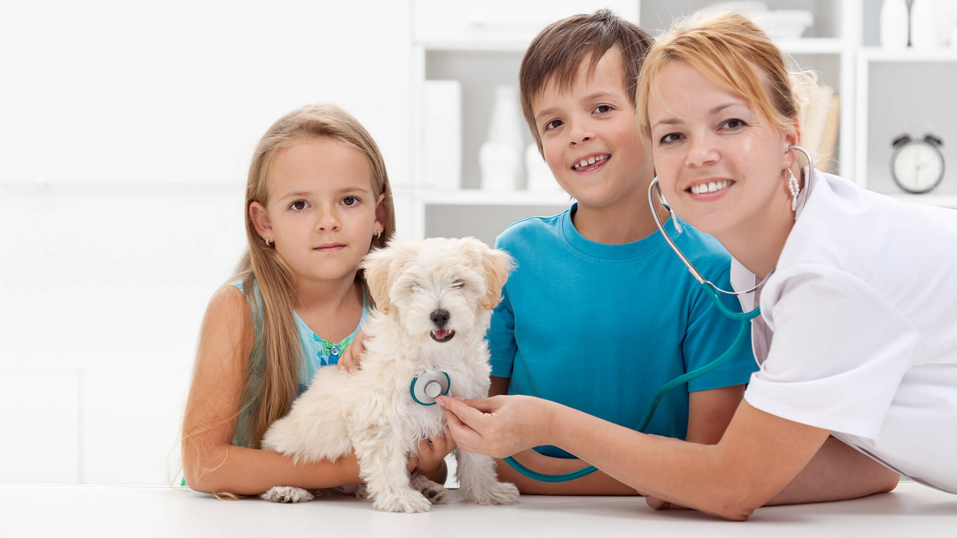 Numerous Services